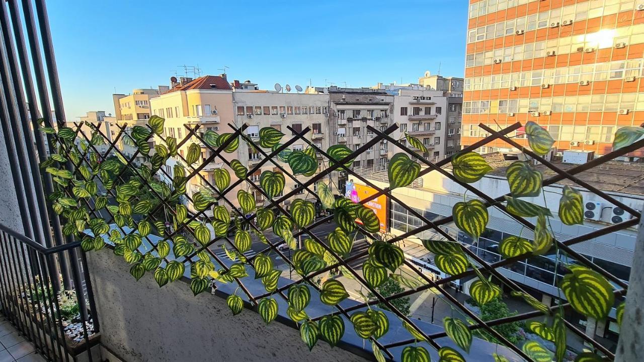 Windows City Apartment Belgrade Exterior photo